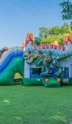 ME00563f42e64308bc32c659f3a1884e00 1761601851 T-Rex Huge Combo Slide