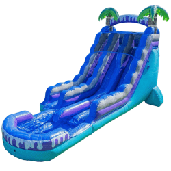 Tropical Deep Sea 19 Foot Duel Water Slide with pool
